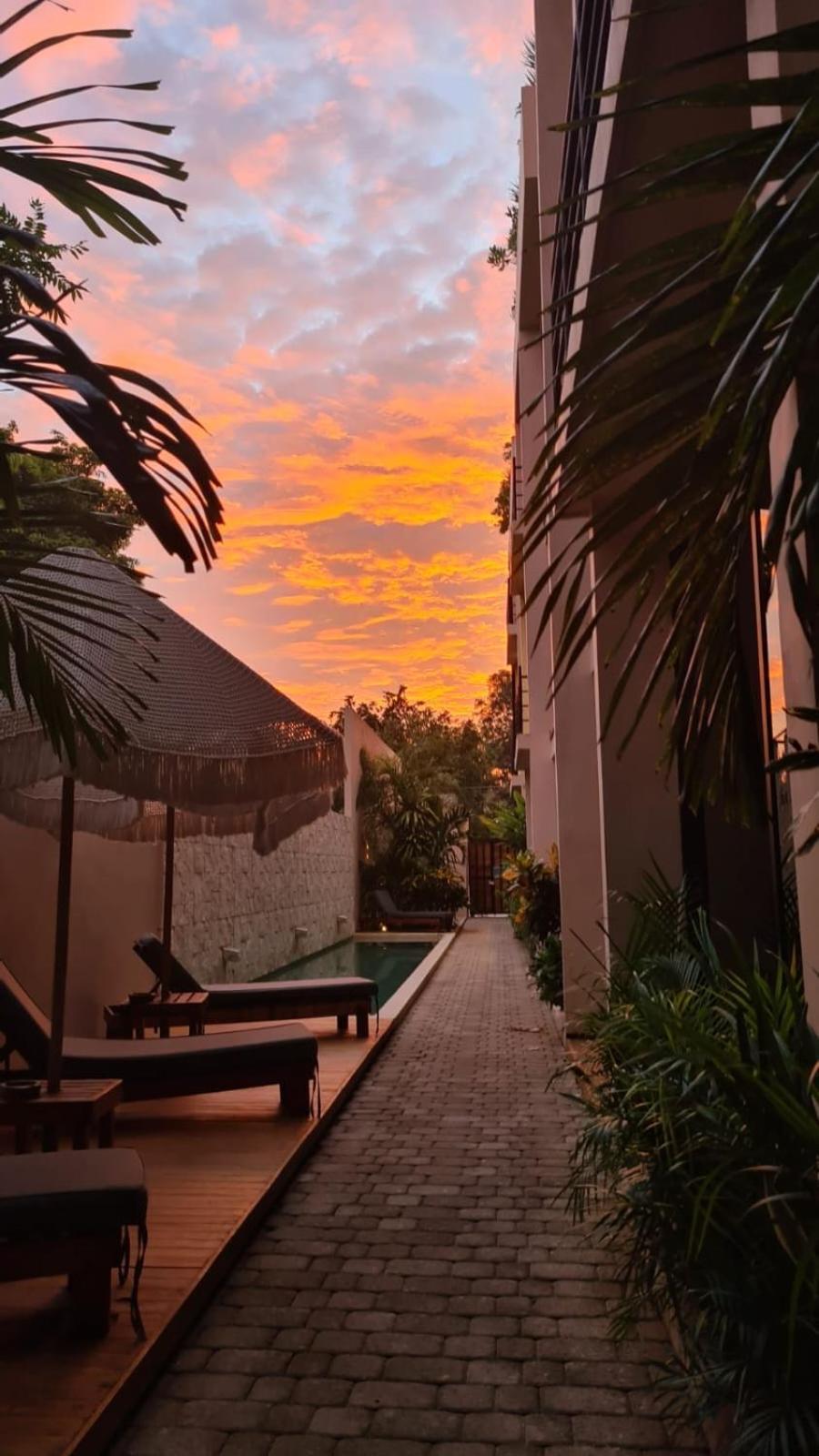 La Veleta Luxury Condos トゥルム エクステリア 写真